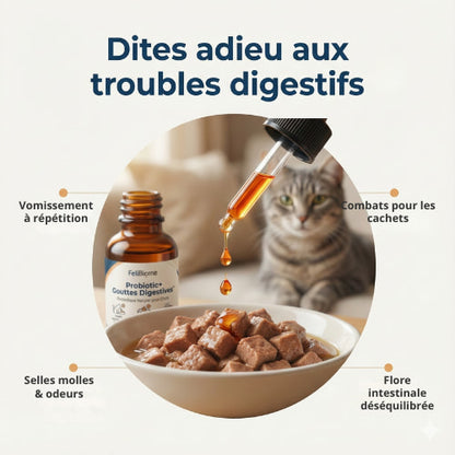 Probiotic+ Gouttes Digestives FéliBiome