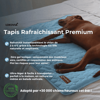 Tapis Rafraîchissant Premium Lokovia™ (1 acheté = 1 offert)