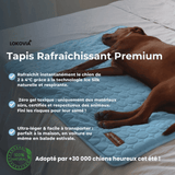 Tapis Rafraîchissant Premium Lokovia™ (1 acheté = 1 offert)