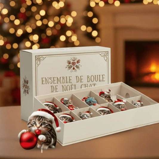 Boules Souvenirs de Noël Félin