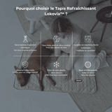 Tapis Rafraîchissant Premium Lokovia™ (1 acheté = 1 offert)