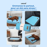 Tapis Rafraîchissant Premium Lokovia™ (1 acheté = 1 offert)