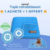 Tapis Rafraîchissant Premium Lokovia™ (1 acheté = 1 offert)