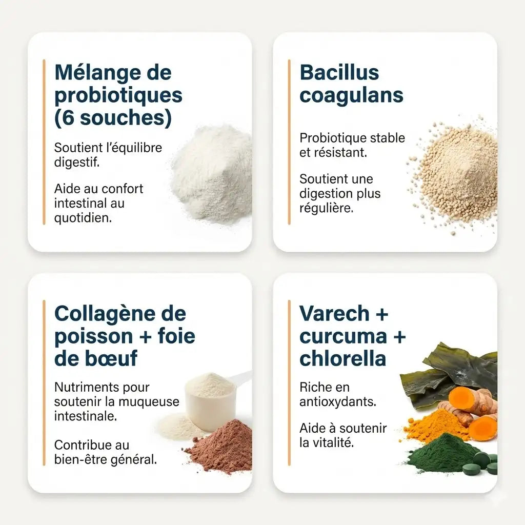 Probiotic+ Gouttes Digestives FéliBiome