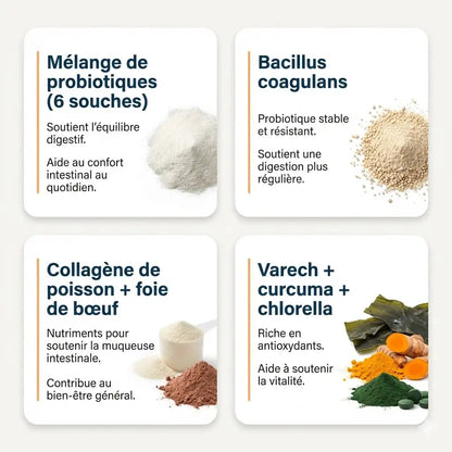 Probiotic+ Gouttes Digestives FéliBiome